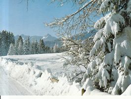 Flims ca. 1970