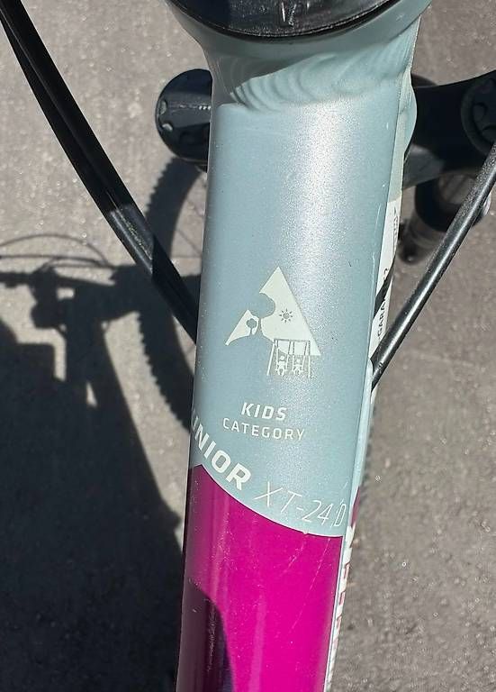 Wheeler Biciclette: Vélo Enfants Wheeler Junior XT 24D – Usato da Jouxtens-Mézery venduto da dav_s822 4