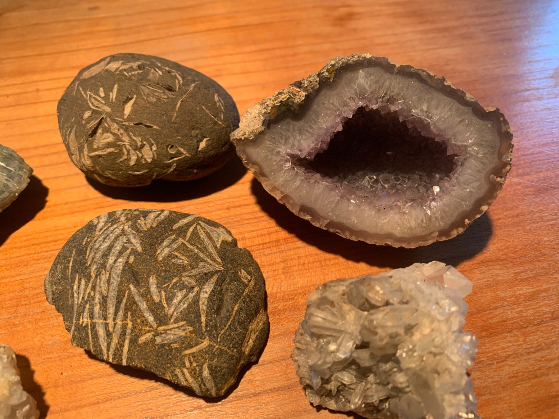 Minerali & Pietre curative: Mineralien Sammlung Steine – Nuovo (secondo la descrizione) da Dättlikon venduto da Maurinie 2