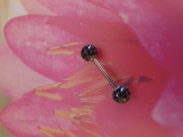 Piercing Stab mit 2 Bällen in schwarz mit Silber Marmorierun
