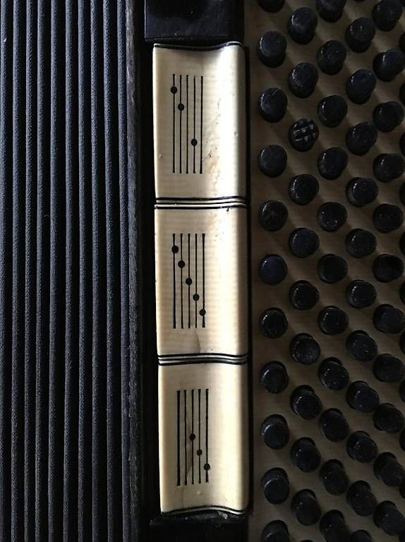 Hohner Strumenti musicali: Hohner Akkordeon Tango II M – Usato da Wettingen venduto da mamaluz 2