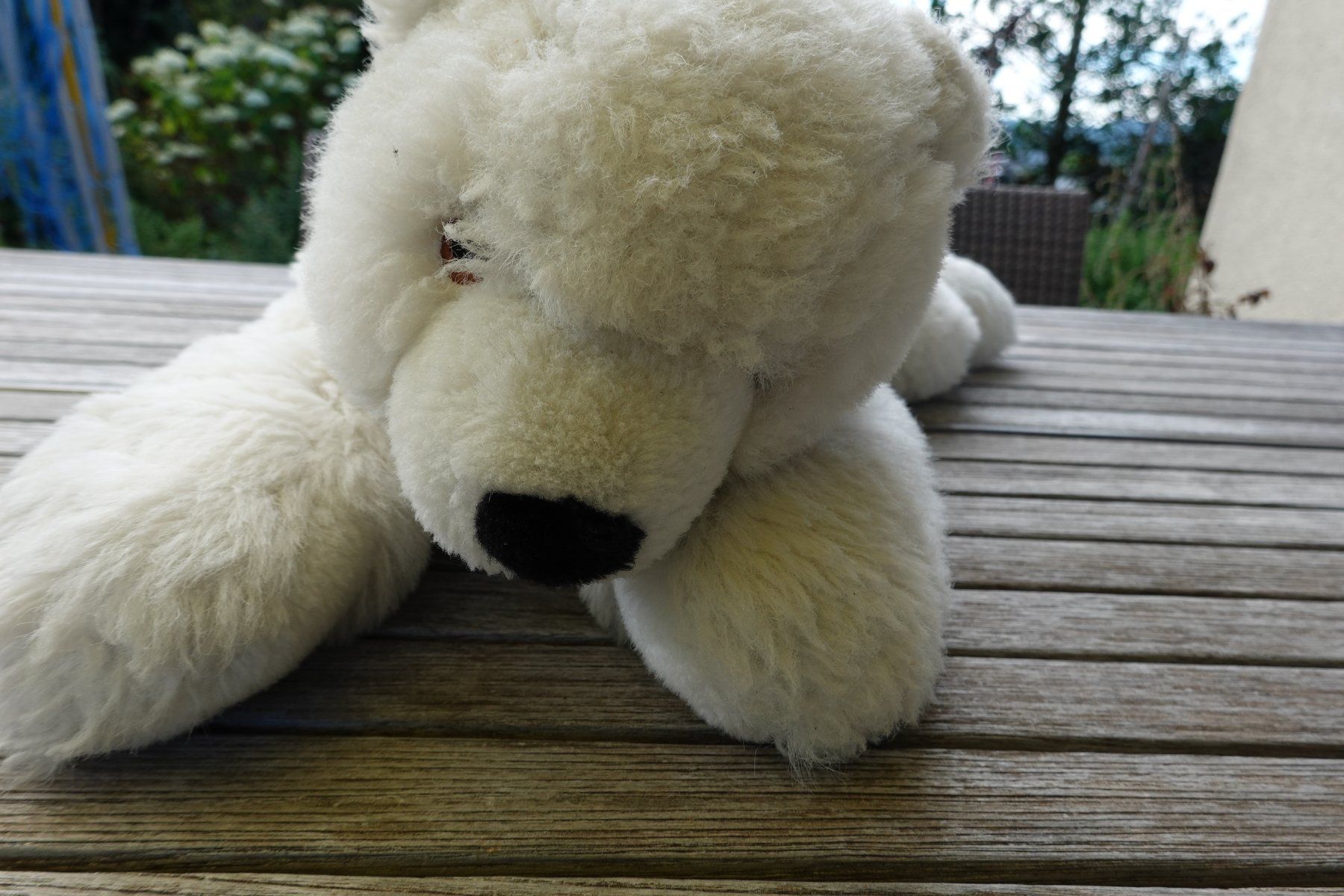 Jouets: Eisbär Länge 70 cm – D'occasion à Hausen AG par nordost 2