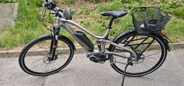 Ebike Flyer 45kmh top zustand