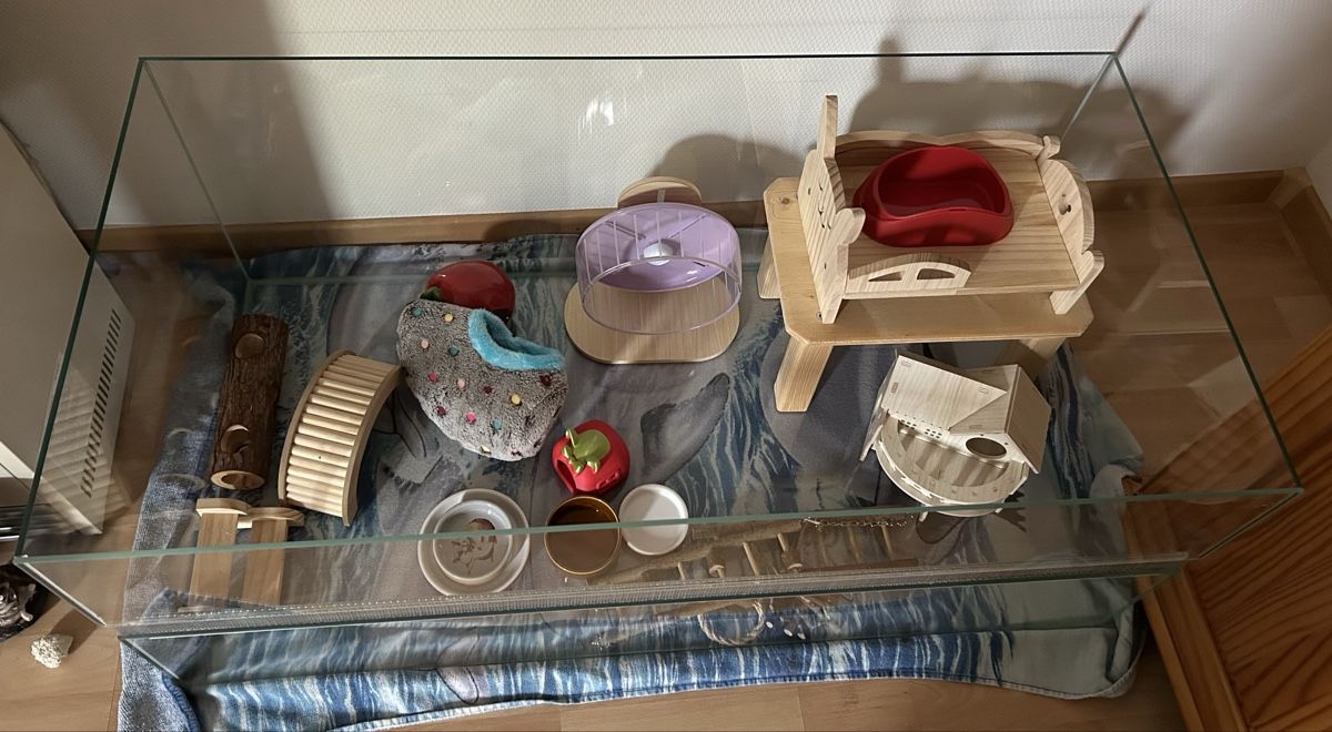 Terrario: Nagerheim / Terrarium – Usato da Tägerwilen venduto da Marakso 4