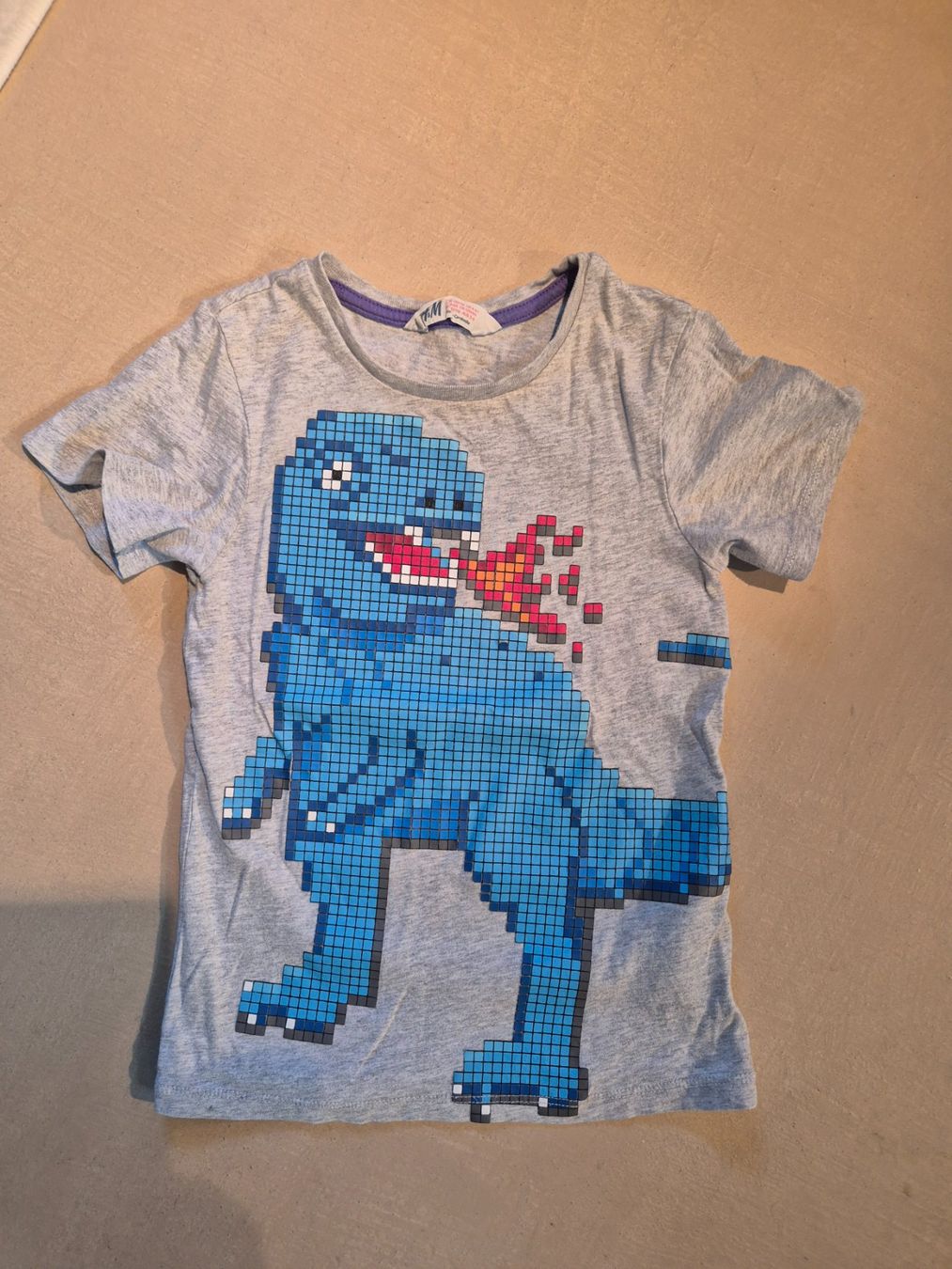 H&M Hemden, T-Shirts & Polos: Dino T-Shirt, grau, Gr. 110/116 – Gebraucht aus Dietikon von grafad