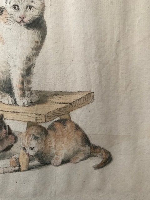 Gottfried Mind, Bern Katzen Katzenmutter 3