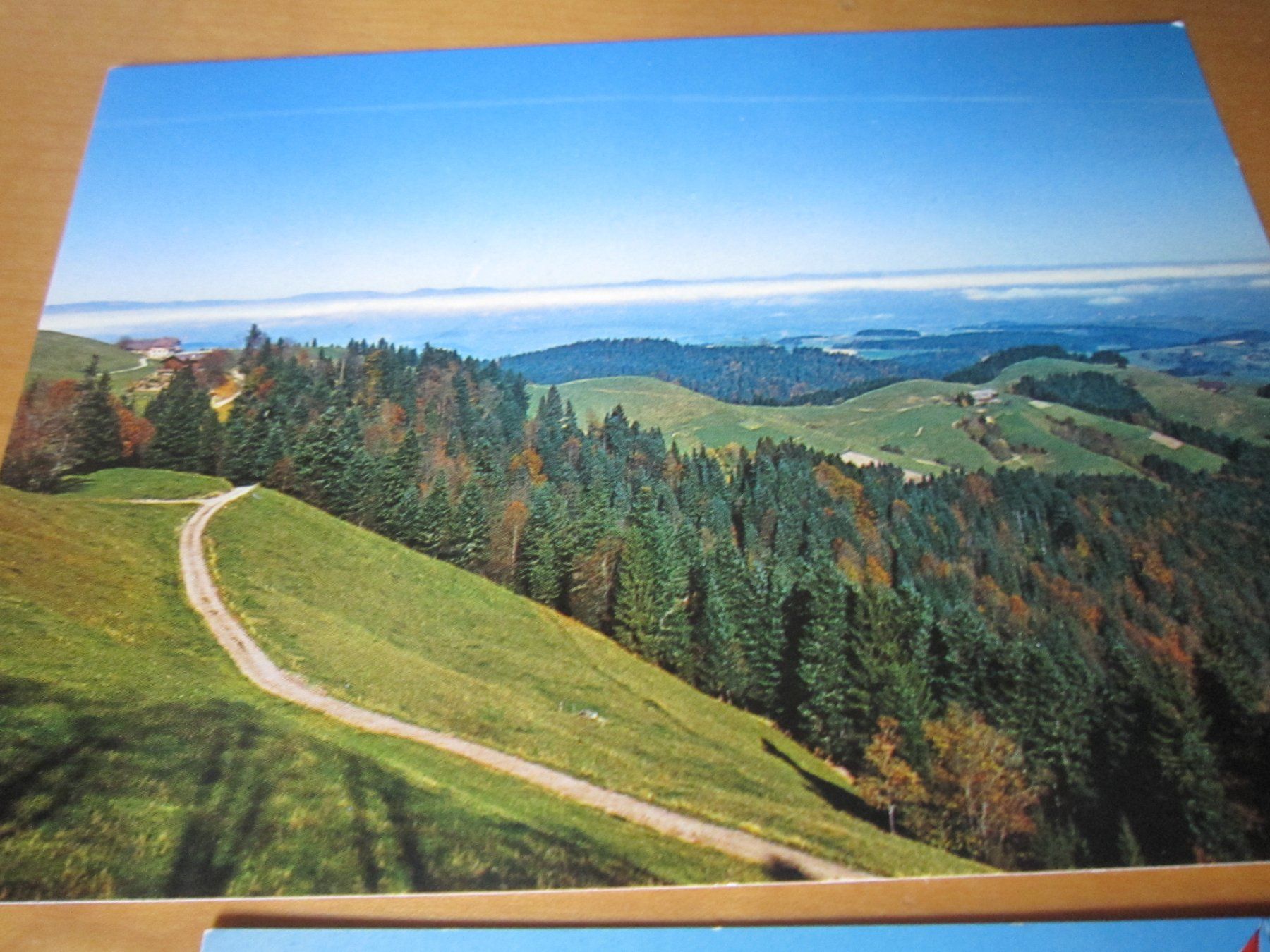 Cartoline postali: Schöne Postkarte AHORN ALP AB NUR 75 RP – Usato da Gordola venduto da Polentaefung 4