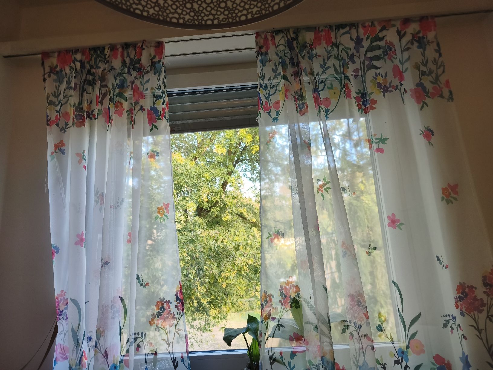 Vorhänge: Vorhänge 8 Stück 145x140, Neu – Neu (gemäss Beschreibung) aus Tagelswangen von son_z88g
