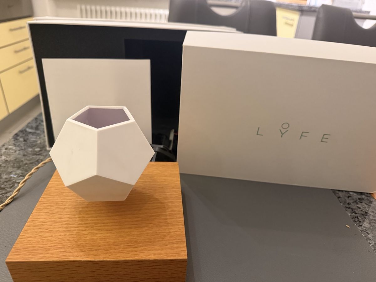 Vasi per fiori: 320 CHF FLYTE Lyfe Pflanzentopf Schwebender Blumentopf Eiche – Usato da Deitingen venduto da Himhip