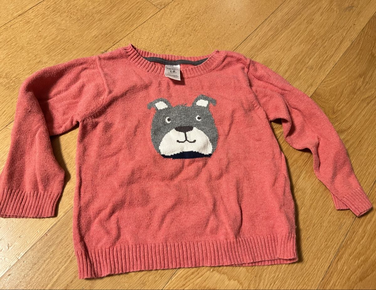 Carter's Maglioni & Felpe: Pullover Carter’s Pink Hund Gr. 18 M – Usato da Zollikerberg venduto da Huglina