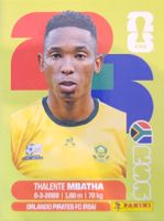 Panini FIFA World Cup RSA 12