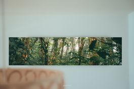 Wandbild 80cm x 20cm, Alu-Dibond