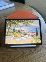 iPad Air (4. Generation) 256 GB + Apple Pencil (2. Generatio