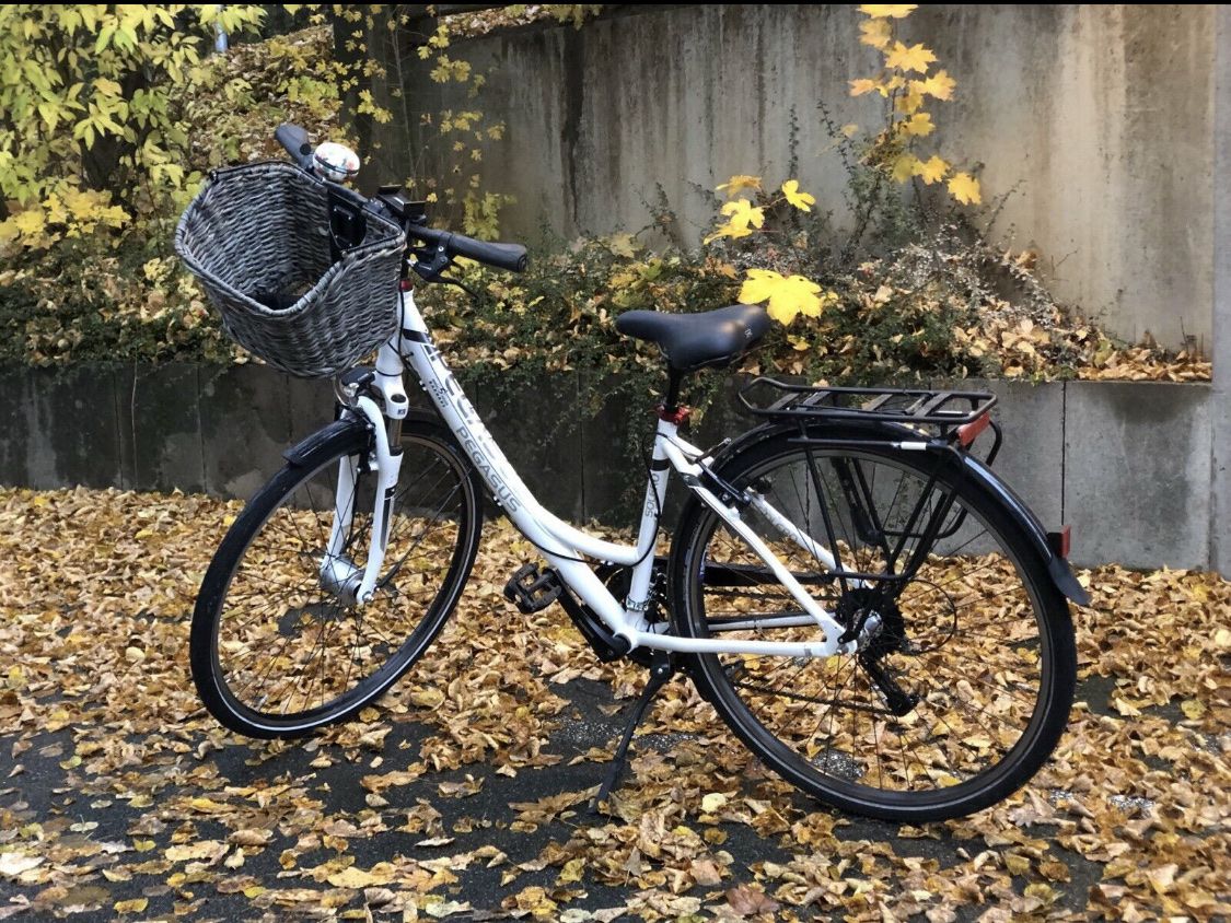 Biciclette: Velo Pegasus – Usato da Meggen venduto da mil_9p8n