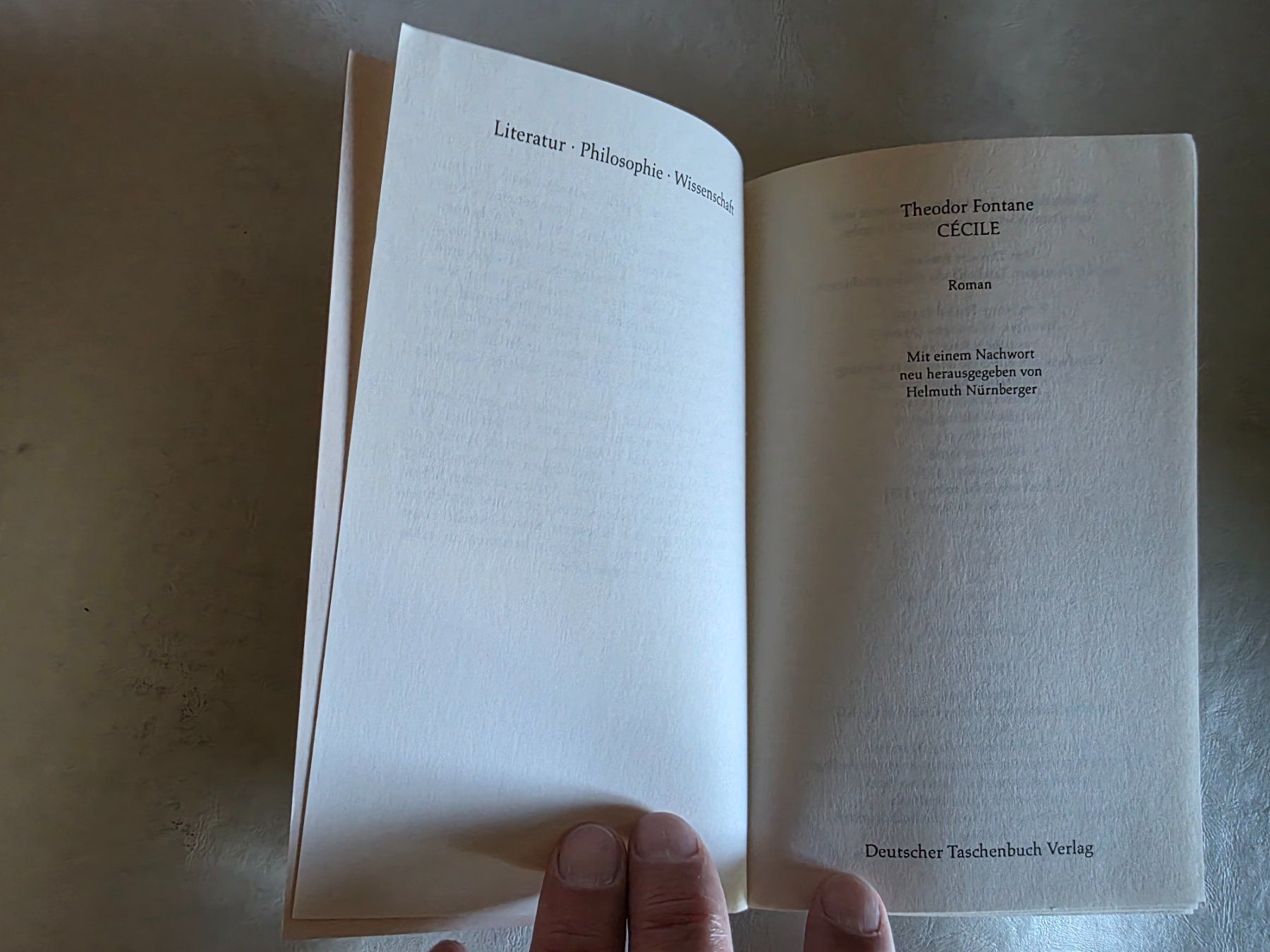 Bücher: Theodor Fontane - Cécile - dtv Klassiker - 1995 – Gebraucht aus Walterswil BE von Lonitti 3