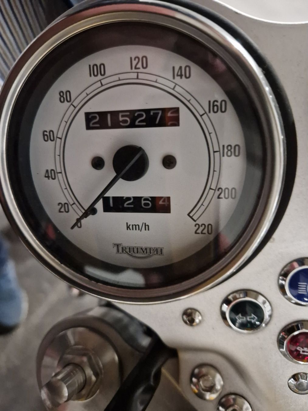 Triumph Strada: Triumph Thruxton 900 – Usato da Basel venduto da jenzerd 3