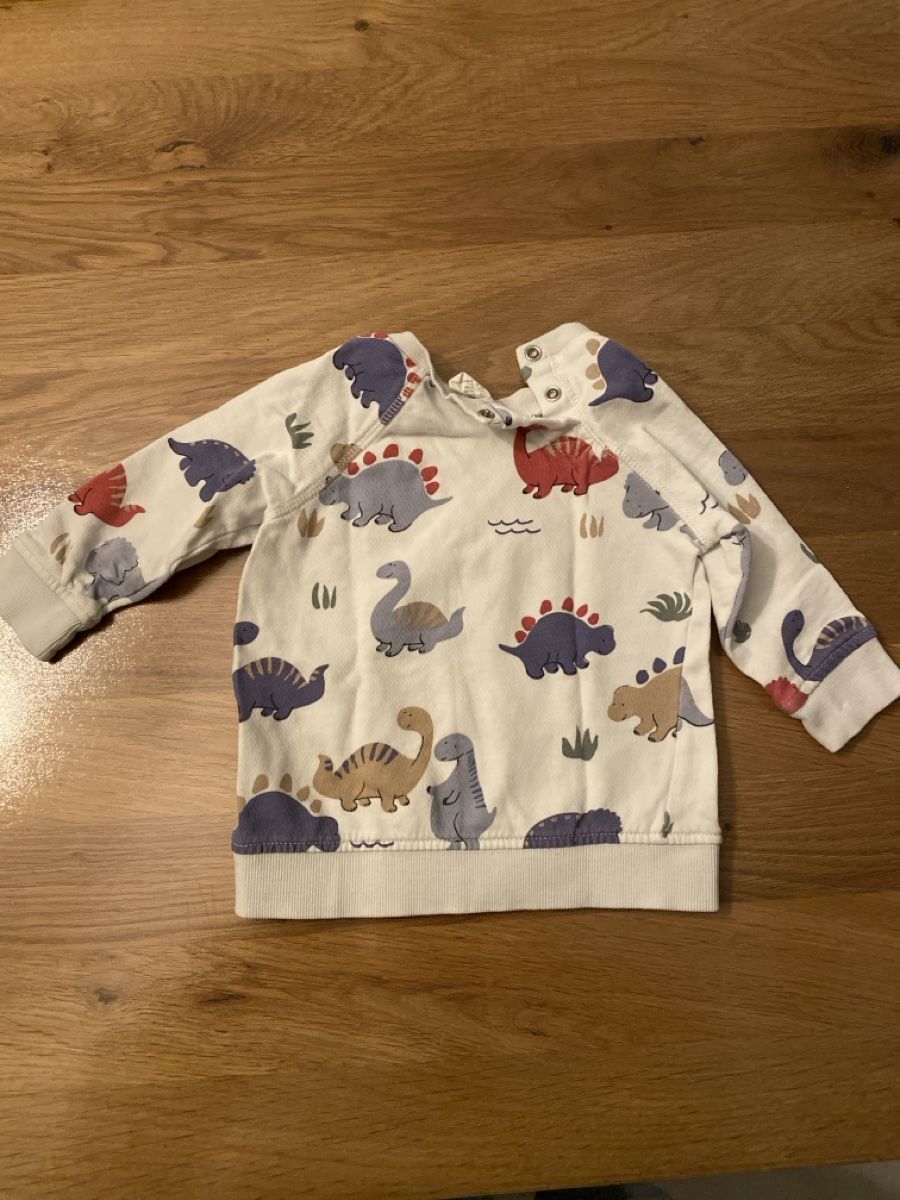 H&M Pullover & Sweatshirts: H&M Pullover mit Dinosauriermuster Grösse 74 – Gebraucht aus Welschenrohr von all_5gs8 3
