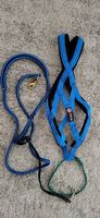 Set Bikejöring für Hund 