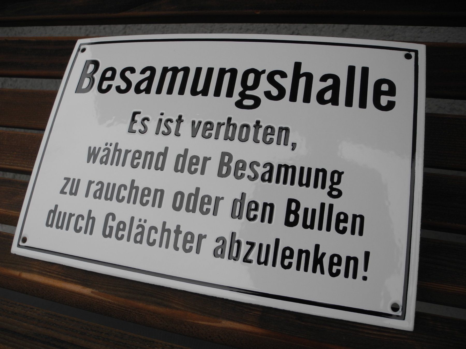 Schilder: WITZIGES EMAILSCHILD – Neu (gemäss Beschreibung) aus Reinach AG von Huckleberrysix 2