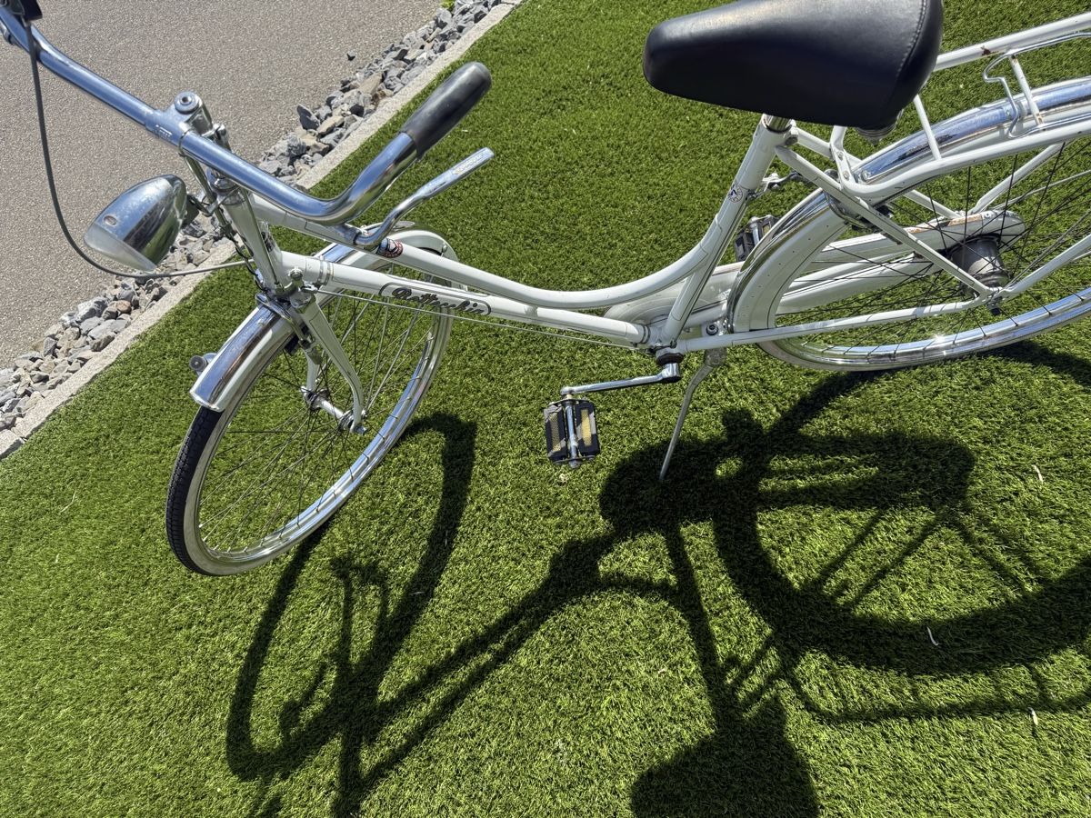 Biciclette: Bahnhof Velo – Usato da Horriwil venduto da Carrera68 2