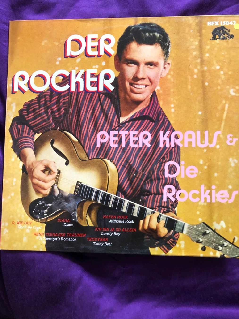Dischi in vinile: LPDer Rocker – Usato da Buchs ZH venduto da krenzi