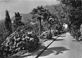 Brissago Tessin TI Hotel Brenscino G