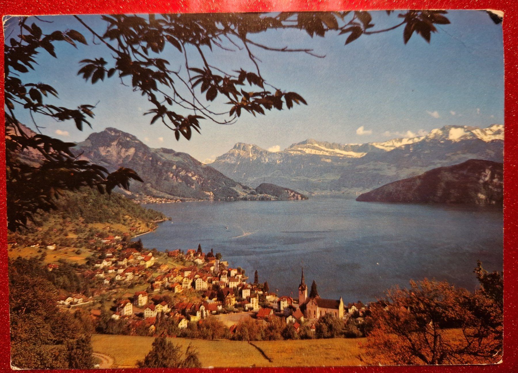 Cartoline postali: Ferienort Weggis mit den Alpen 1977 – Usato da Melchnau venduto da Fishel