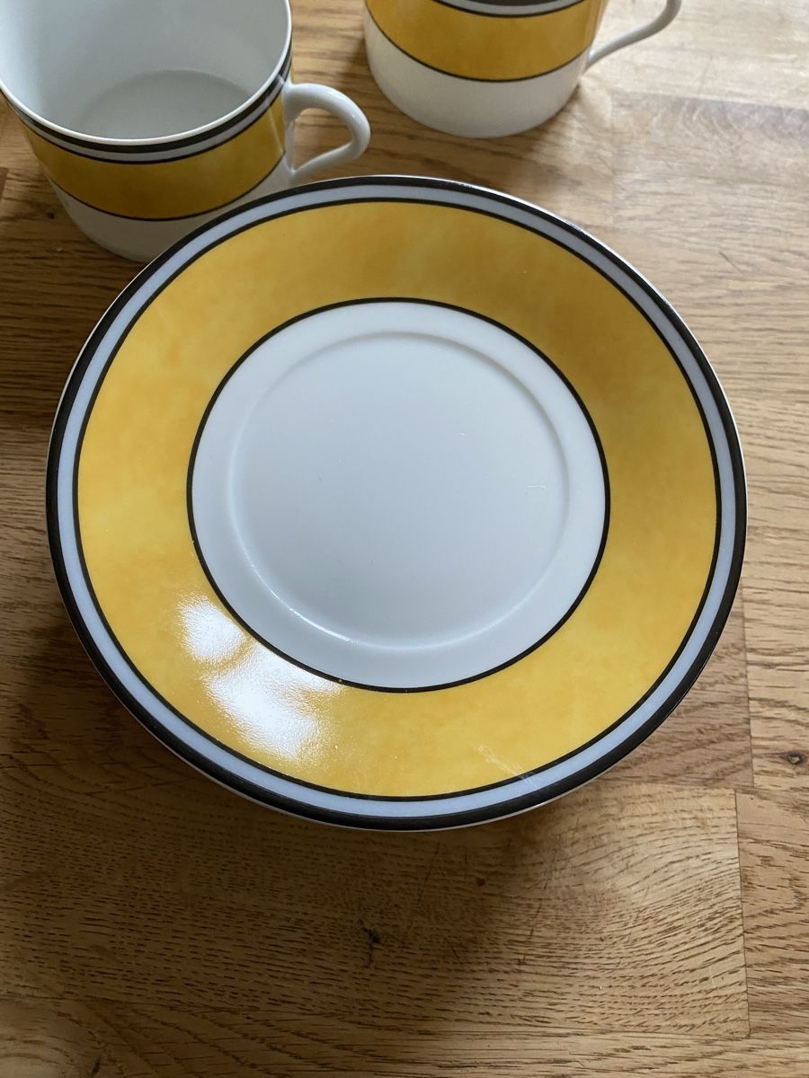 Set di piatti: 9 Kaffeetassen mit Unterteller Limoges – Usato da Flawil venduto da Naphtali 1