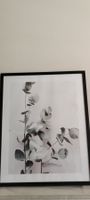 Bild mit Pflanzenmotiv gerahmt schwarz 42x52cm guter Zustand