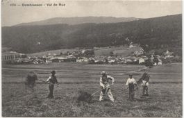Landwirtschaft/Heuen/foin 1918 Dombression NE