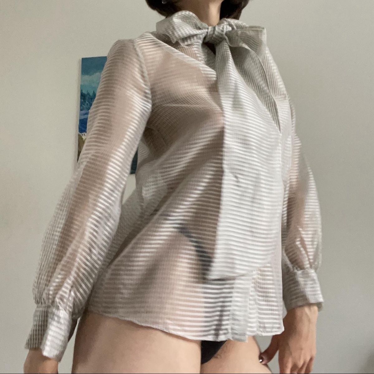 Zara Blusen: Sheer Blouse from Zara – Neu (gemäss Beschreibung) aus Adliswil von DariaU0709 1
