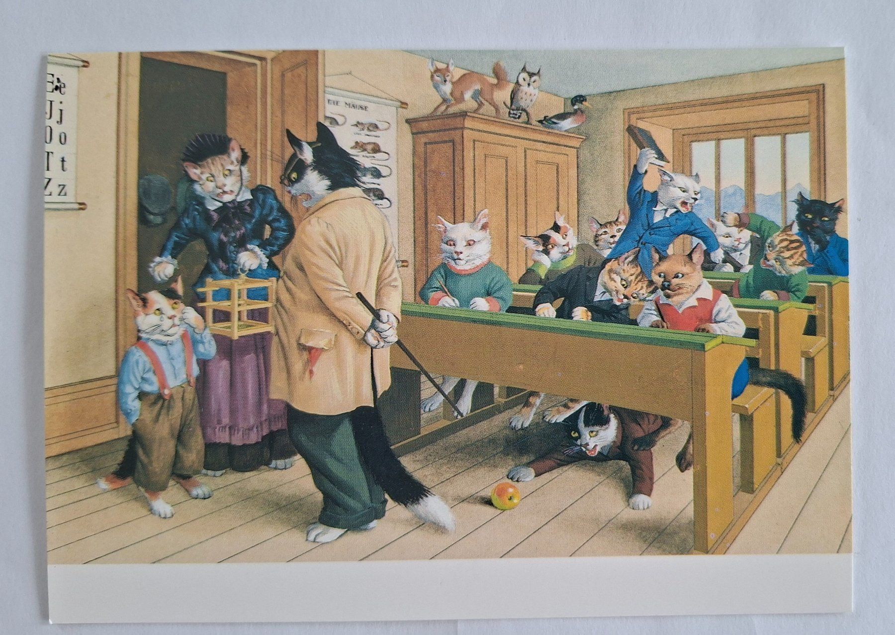 Cartoline postali: AK Katzen Katzenkarte Nr. 218 – Usato da Opfikon venduto da Diversamente