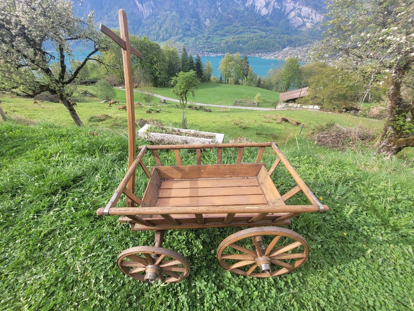 Carriole: Leiterwägeli mit Deichsel. Guter Zustand – Usato da Brienz BE venduto da Hundechef 1