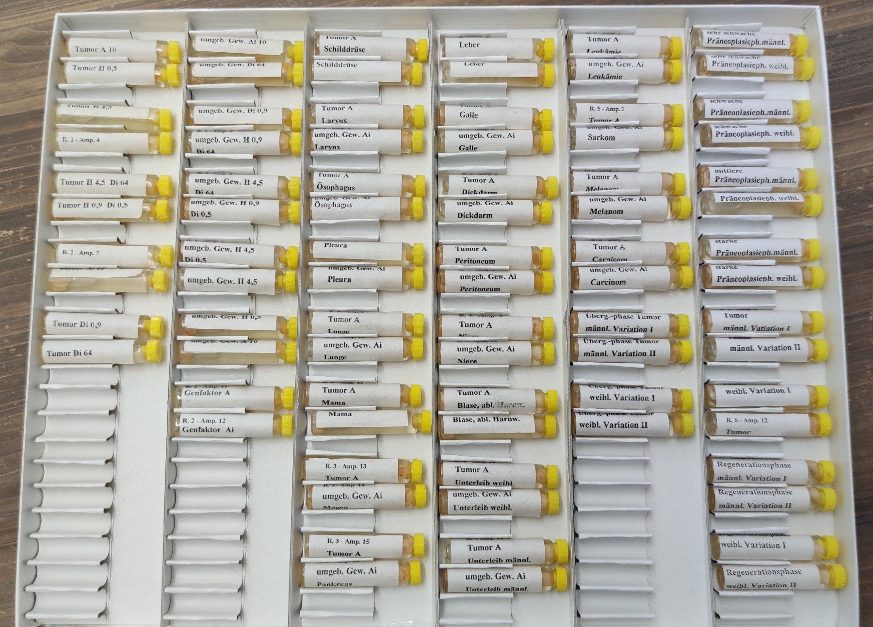 Attrezzature mediche: Keymer Testkasten "Degenerationsphasen" für Bioresonanz/EAV – Usato da Eiken venduto da alipanther01