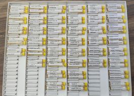 Keymer Testkasten "Degenerationsphasen" für Bioresonanz/EAV