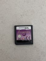nintendo ds apassionanta meine show
