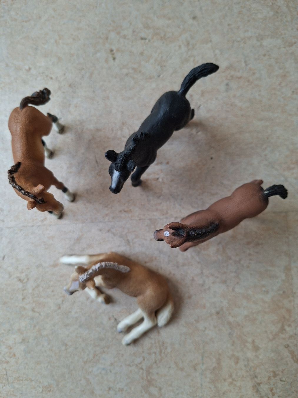 Schleich Giocattoli: Schleich Fohlen Mix: 4 Stück – Usato da Klingnau venduto da vollmond36 1