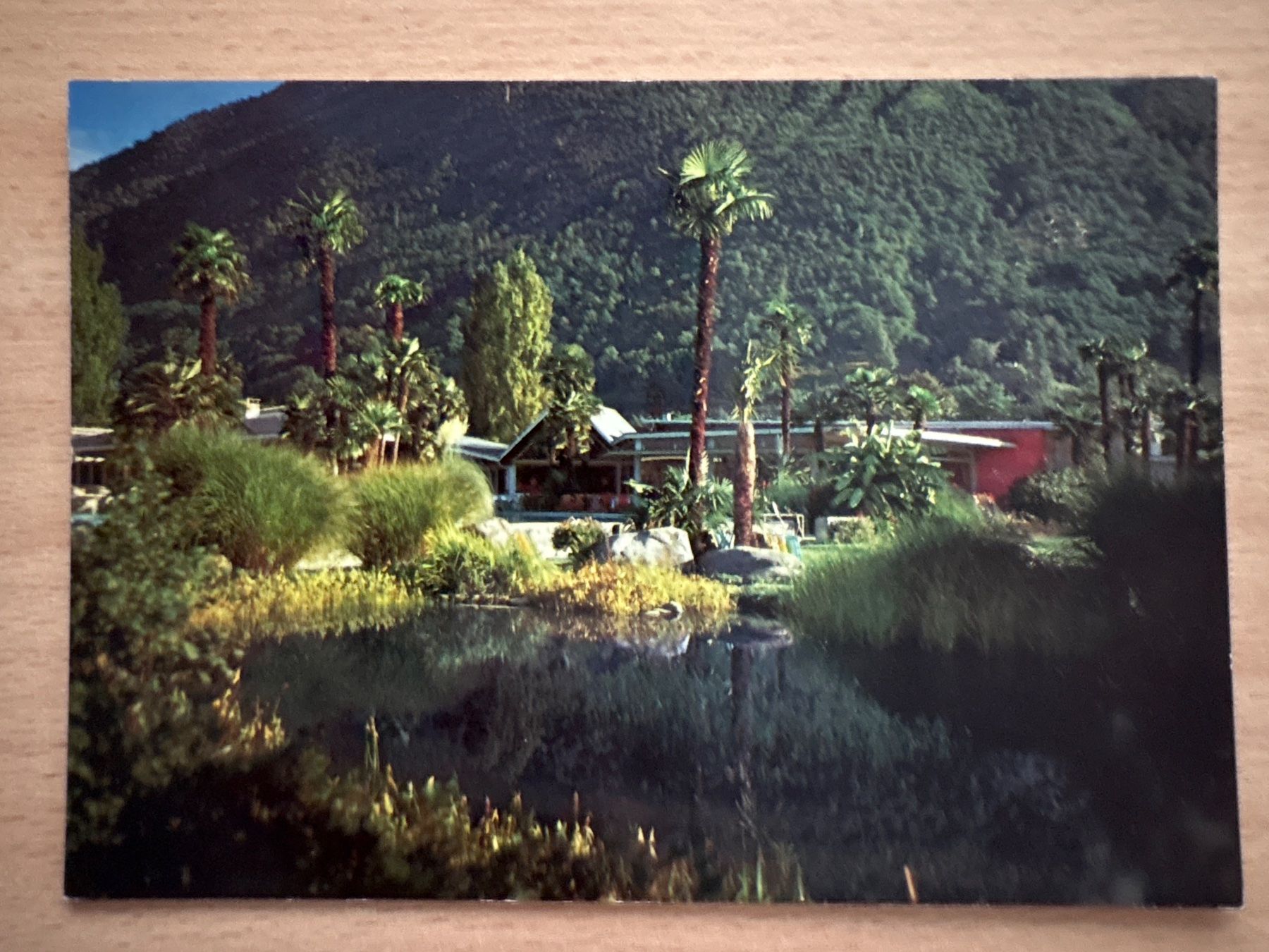 Cartoline postali: Ansichtskarte Ferienparadies Albergo Losone Ascona 100 Be... – Usato da Ibach venduto da lisch3