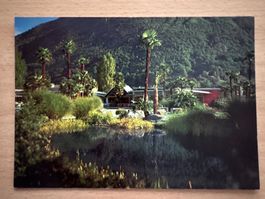 Ansichtskarte Ferienparadies Albergo Losone Ascona 100 Be...