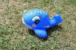 Intex Walfisch