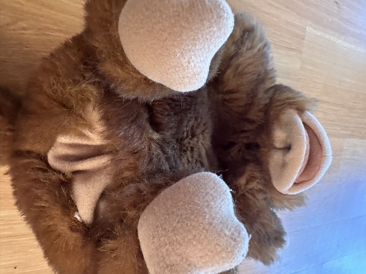 Giocattoli: Handpuppe Affe – Usato da Zürich venduto da isa_yzc7 2