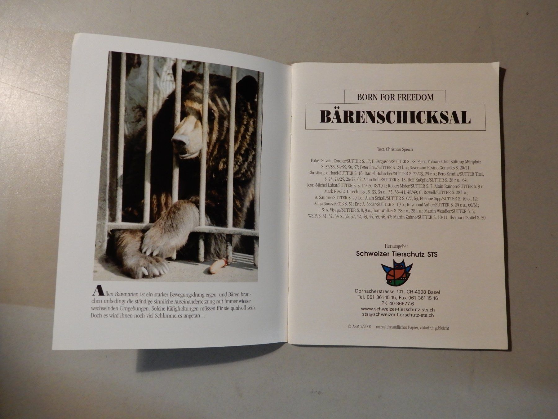 Libri: Bärenschicksal - Schweizer Tierschutz STS – Usato da Erstfeld venduto da Mario_boe0 1