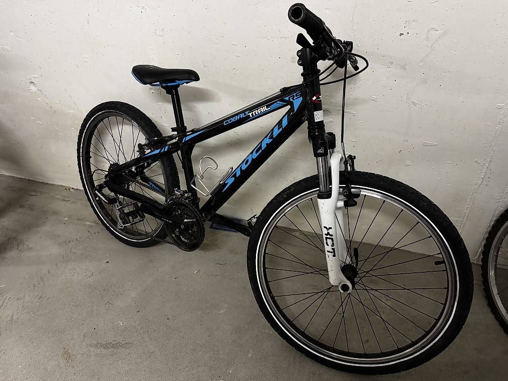 Biciclette: Kinderfahrrad 20'' – Usato da Horgen venduto da kainbad1