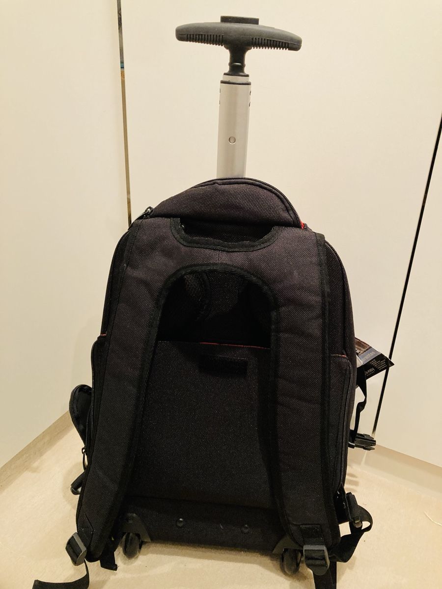 Valigie & Borse: Rollrucksack – Nuovo (secondo la descrizione) da Brüttisellen venduto da sinacat1 5