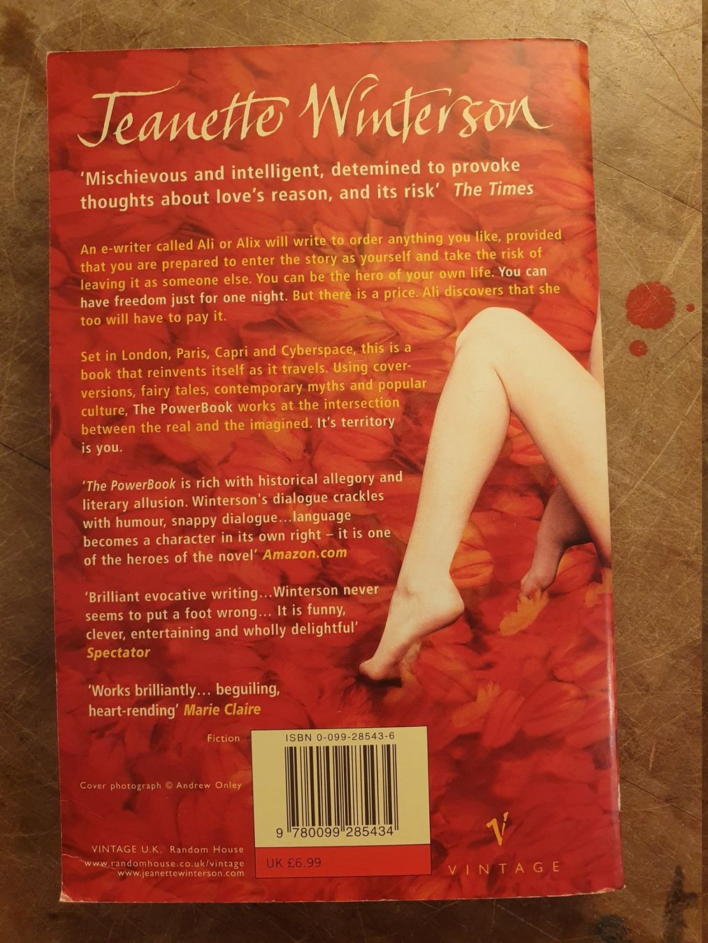 Libri: The Power Book - Jeanette Winterson – Usato da Zürich venduto da loosebone 9