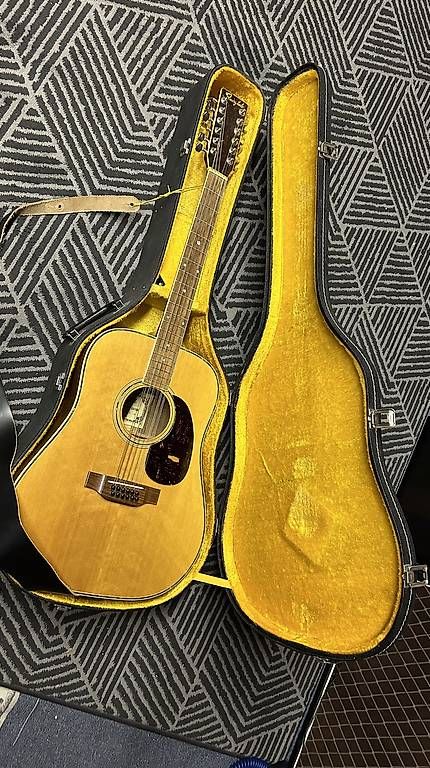 Strumenti musicali: fairytale 12-string western guitar – Usato da Basel venduto da mentaltrap