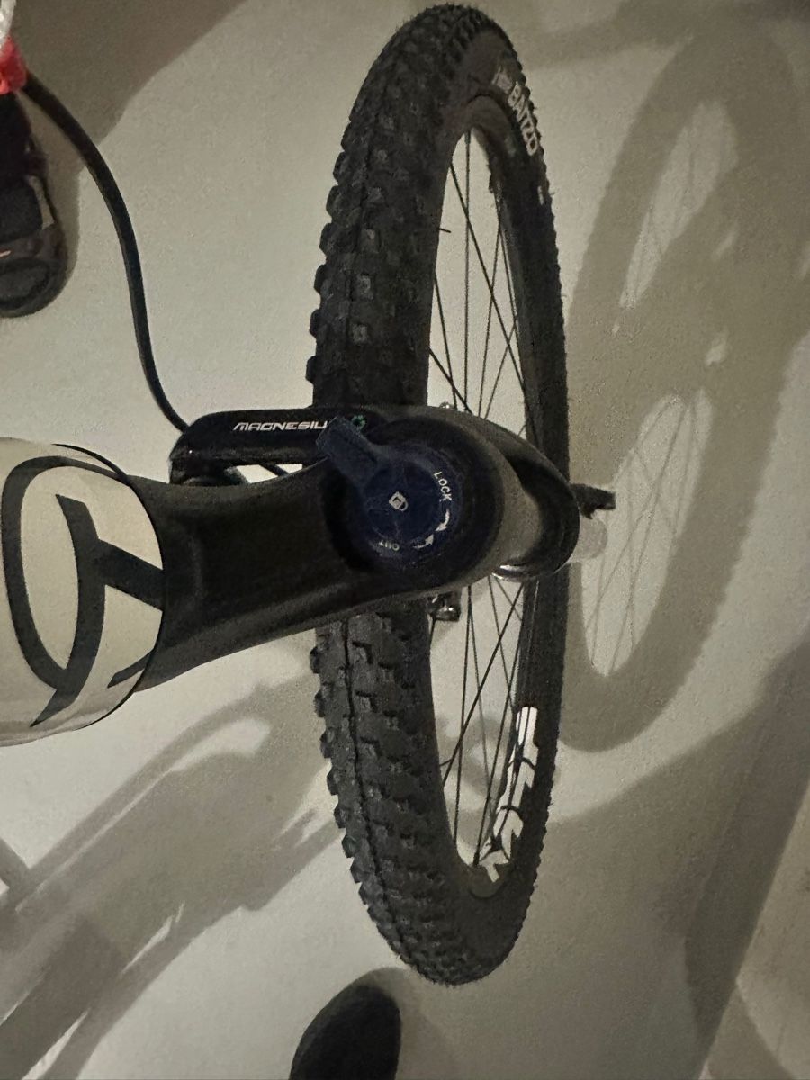 Thömus Biciclette: Thömus Tomcat Bike NEU – Nuovo (secondo la descrizione) da Wileroltigen venduto da torro11 6