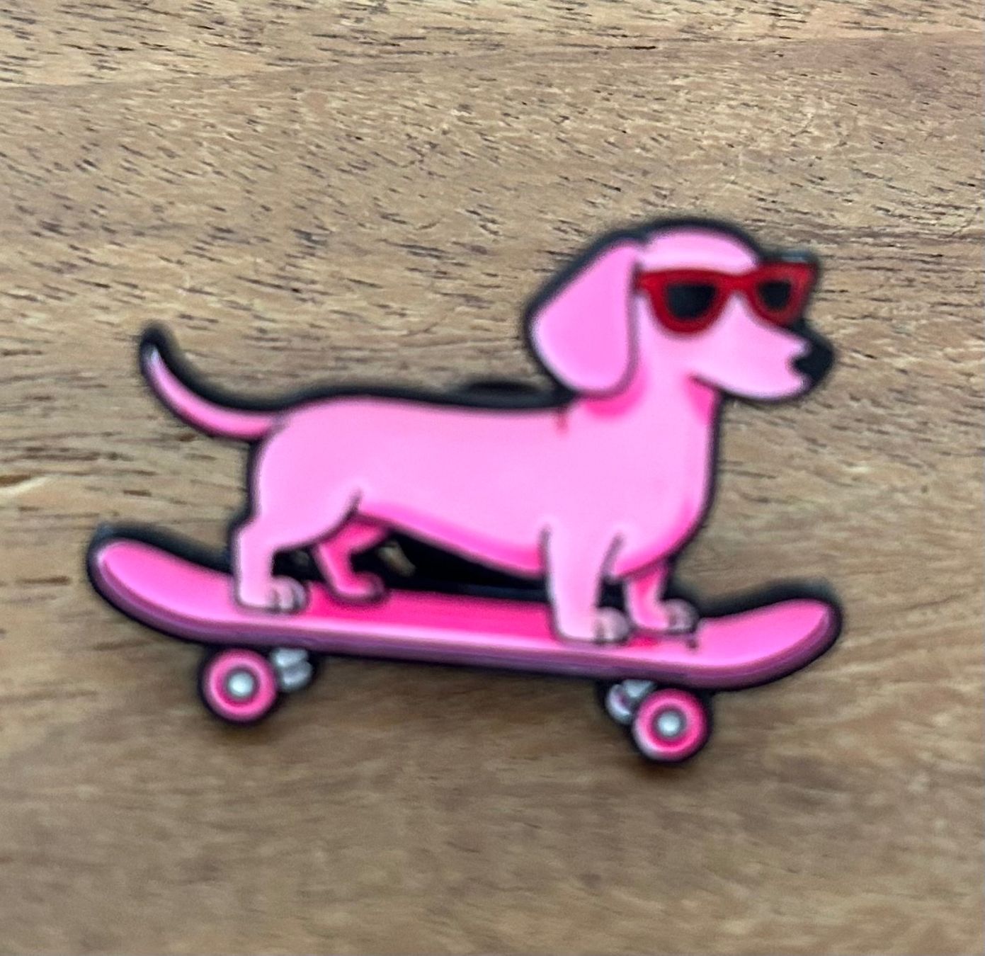 Plaquettes & Badges: Pin Hund Skateboard – Neuf avec emballage d'origine à Geneve par vane267