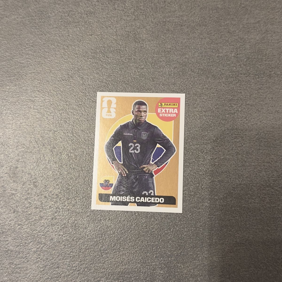 Panini Carte collezionabili: Panini Extra Sticker Moises Caicedo Ecuador – Nuovo (secondo la descrizione) da Flumenthal venduto da _marxlan_
