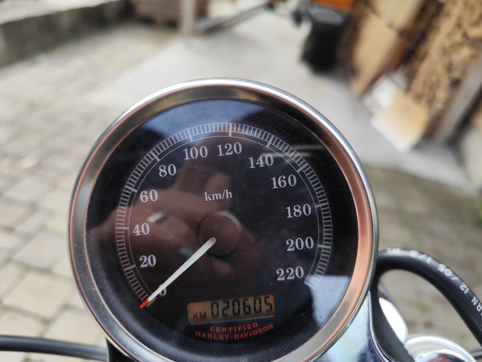 Harley-Davidson Chopper: harley XL 1200 , 21.000 Tacho – Usato da Ramsen venduto da con_2ymg 1